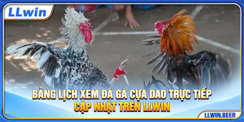 Bảng lịch xem đá gà cựa dao trực tiếp cập nhật trên LLWIN