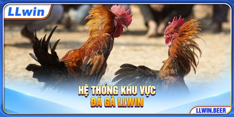Hệ thống khu vực đá gà LLWIN Hệ thống khu vực đá gà LLWIN